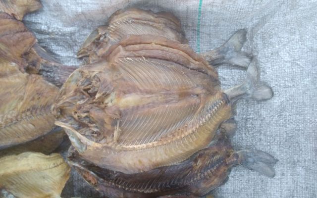 Small Dry Bream/3Pieces
