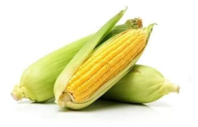 Fresh Maize/Comb