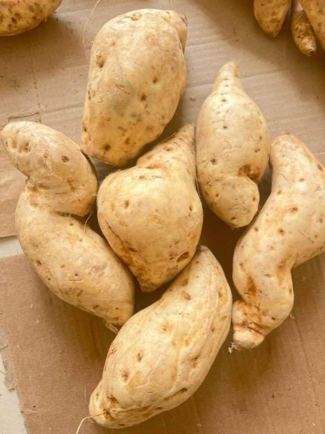 Sweetpotatoes/25Bag