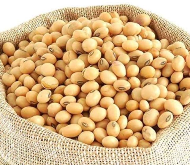 Non GMO Soybeans/Tones