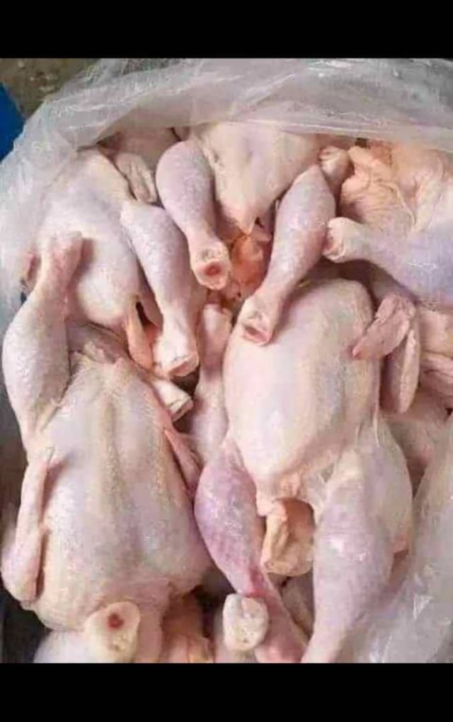 Broiler dressed chickens/Each