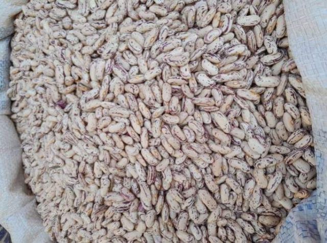 Sugarbeans/Kg