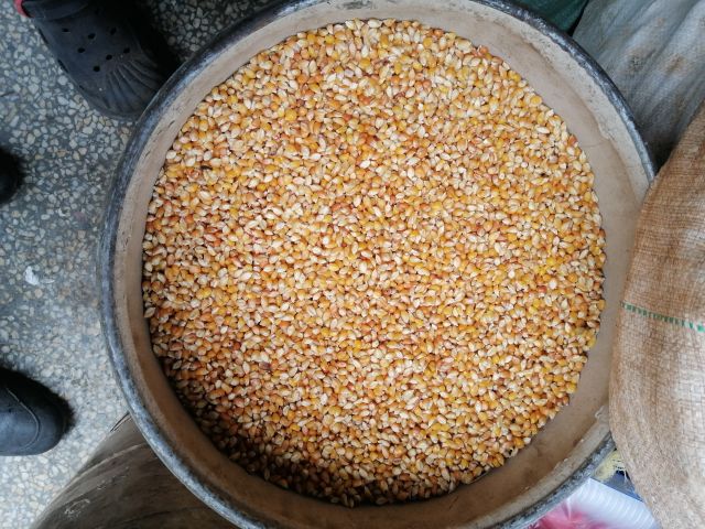 Popcorns/Kg